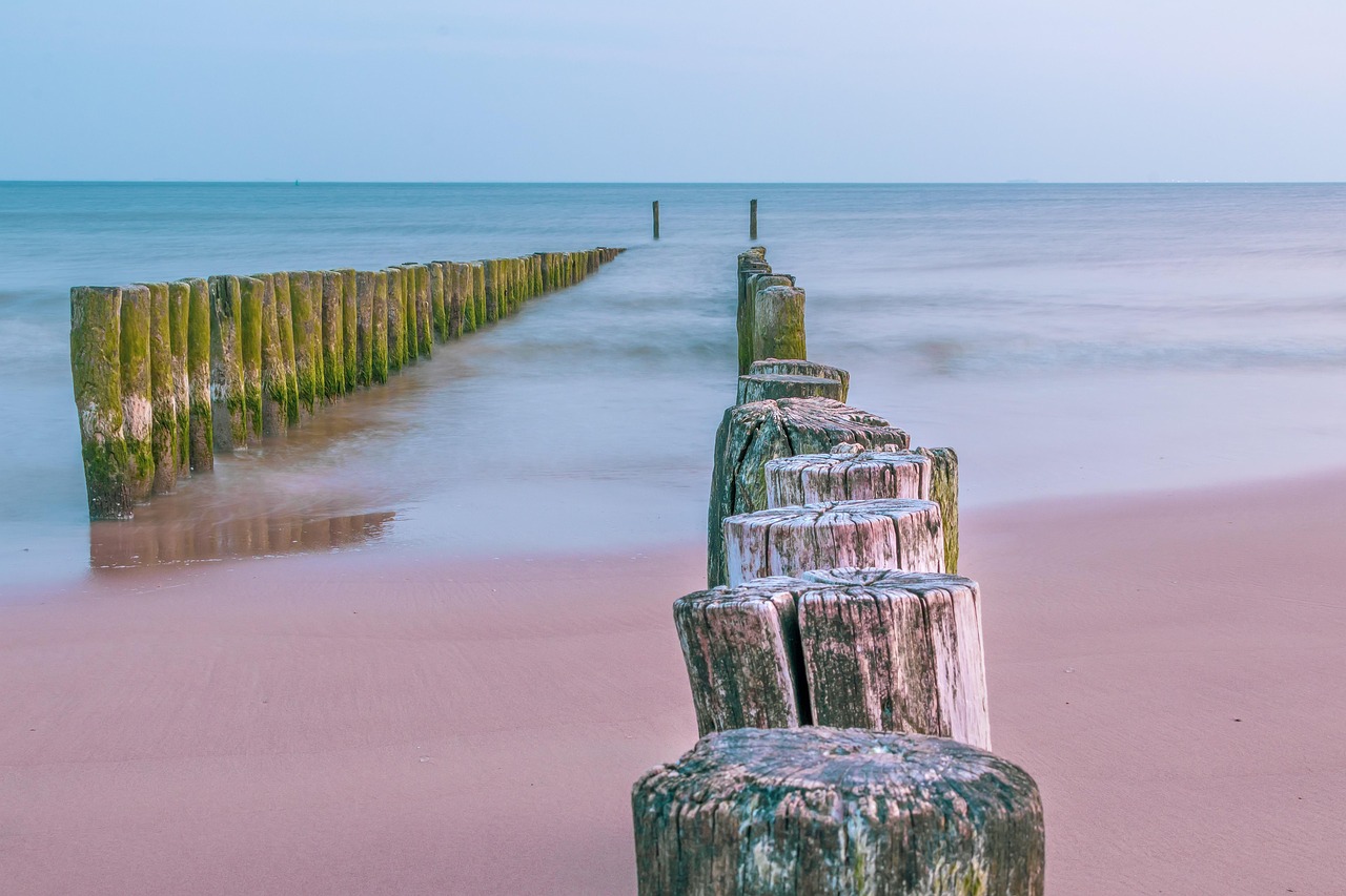 Blue Mind at the Water's Edge: Finding Calm Without Catching a Wave