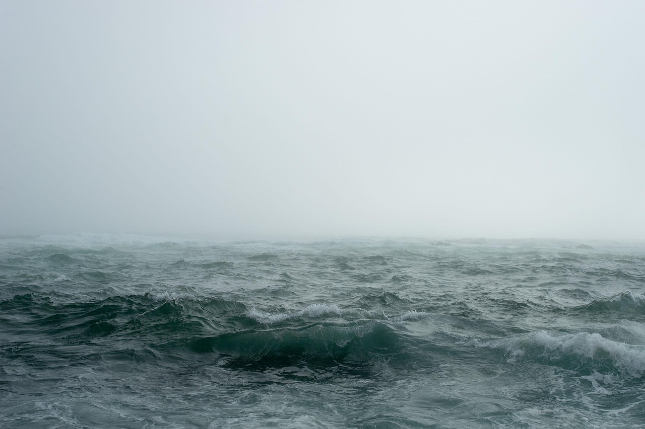 Reading the Wind: How Surfers Learn to Trust Their Senses Again