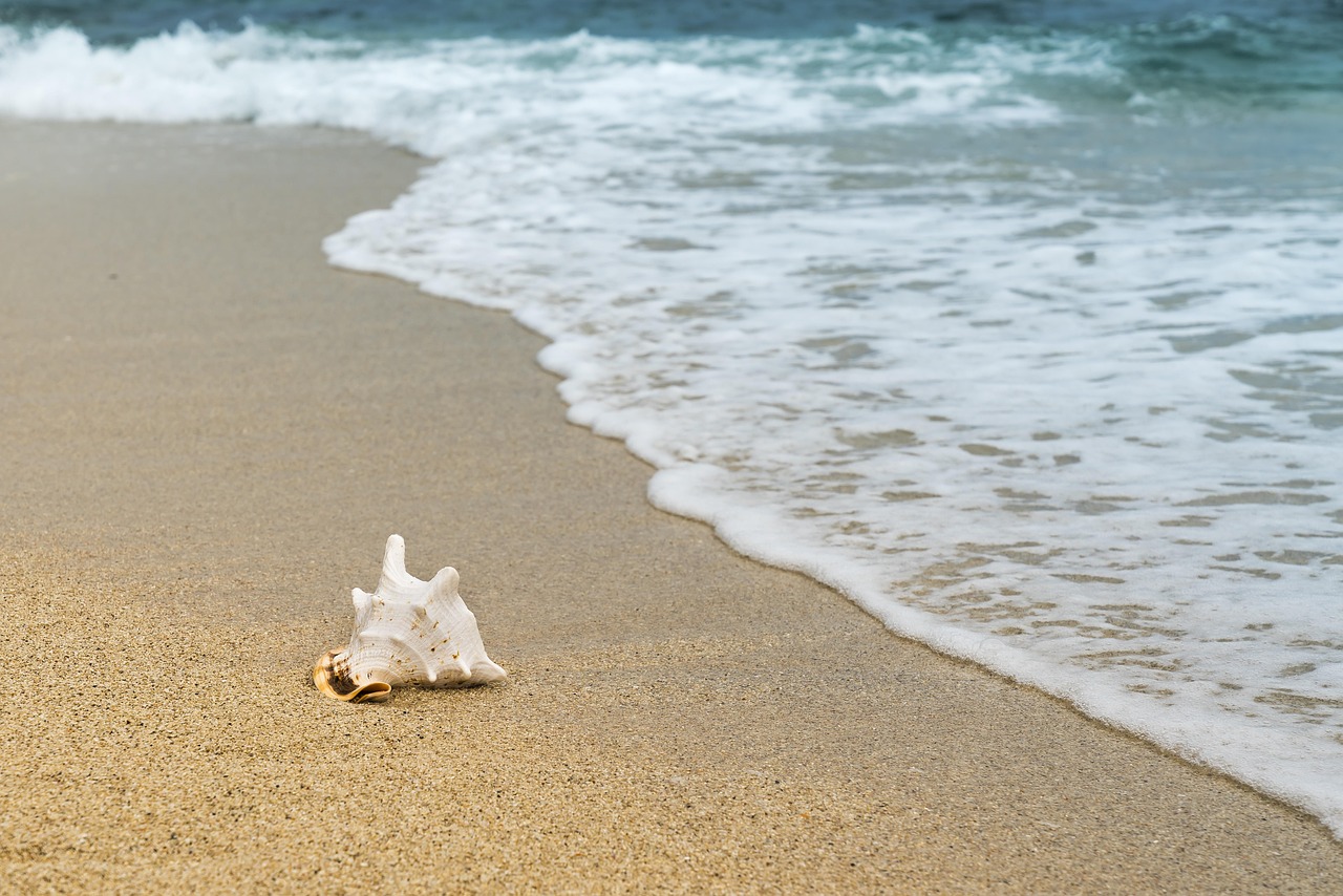 Tide Charts and Letting Go: Accepting What You Cannot Control